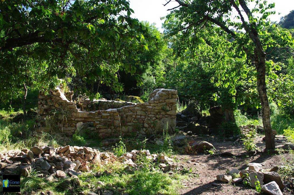 Le sentier des moulins