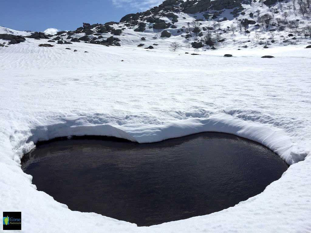 Le plateau du Coscione