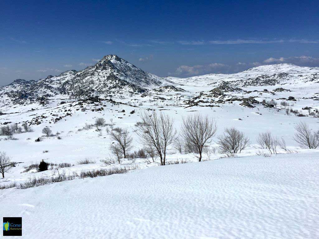 Le plateau du Coscione