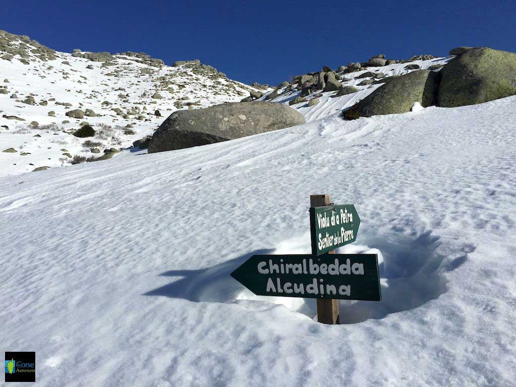 Le plateau du Coscione