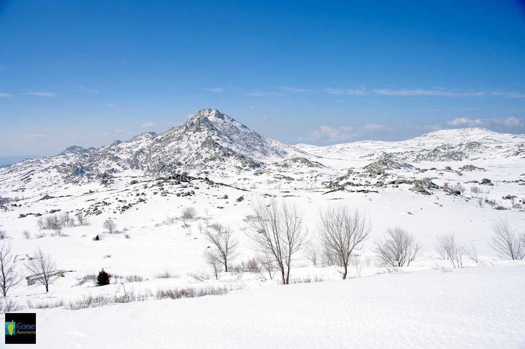 Le plateau du Coscione