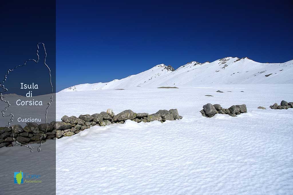 Le plateau du Coscione