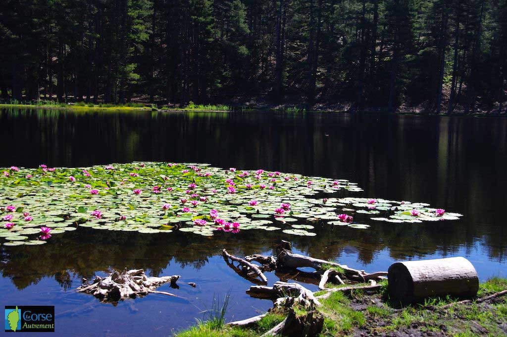 Lac de Creno