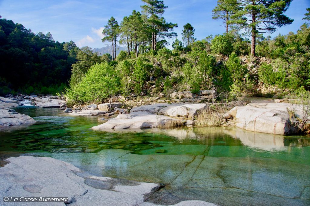 Rivière du Cavu, Corse