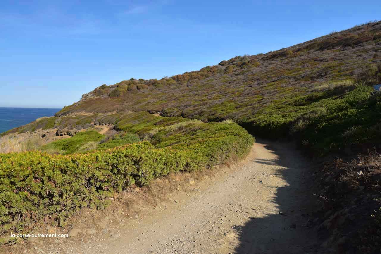 Sentier Des Douaniers De La Revellata