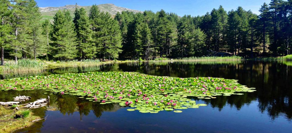 lac de creno