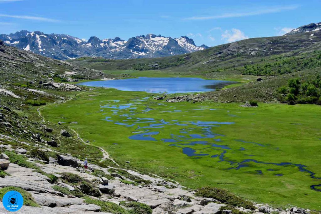 lac de nino