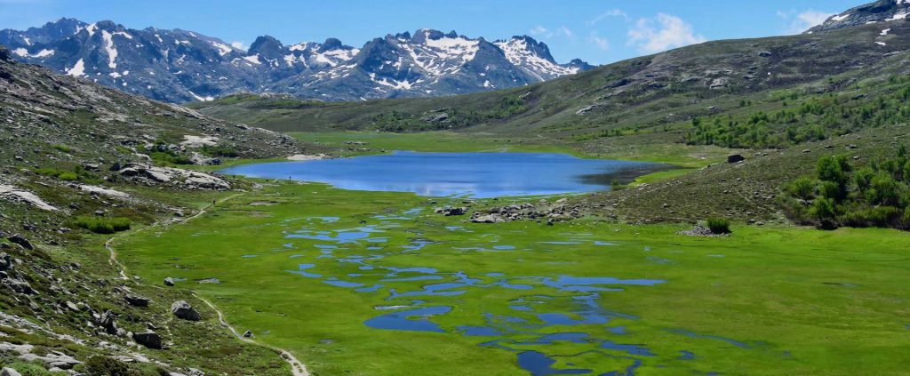 lac de nino