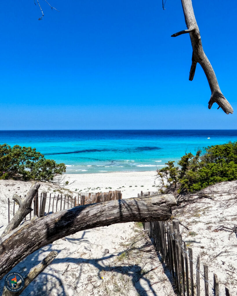 La plage de Saleccia