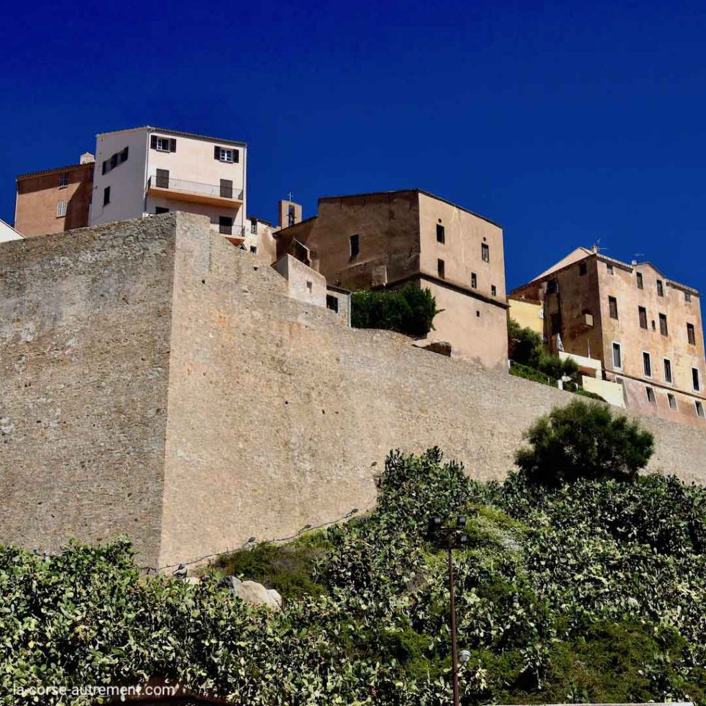Découvrez la ville de Calvi en Balagne, HauteCorse