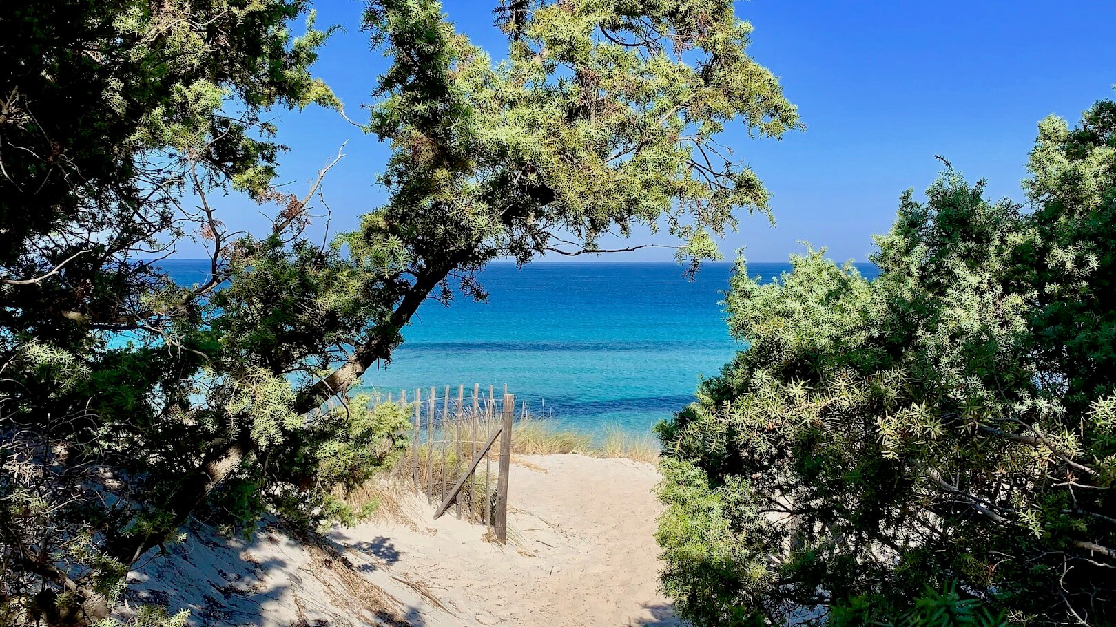 La plage de Saleccia en Corse