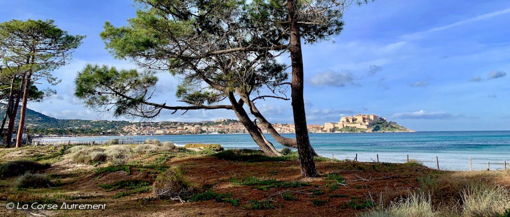 Calvi depuis la plage