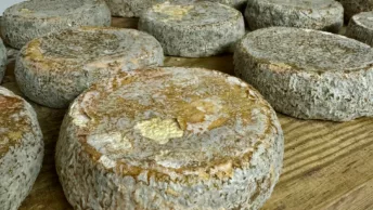 Foire du fromage fermier de Corse