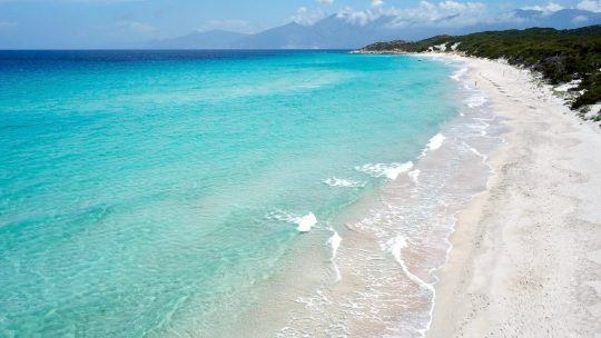 La plage paradisiaque de Saleccia en Corse