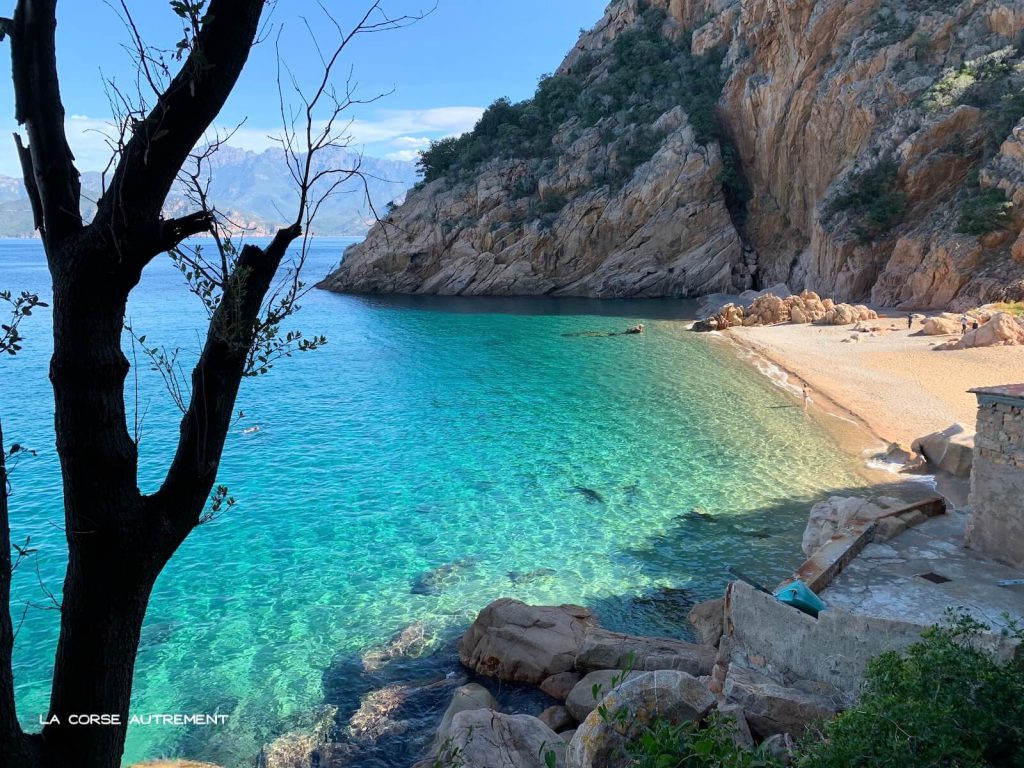 Ficajola, Piana en Corse