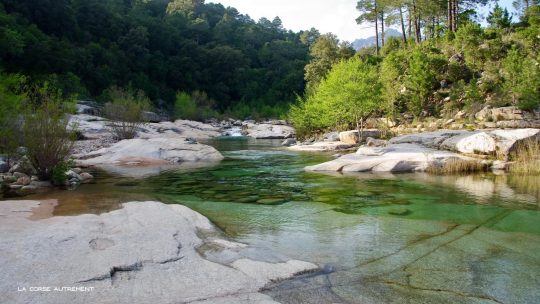 La rivière du Cavu en Corse