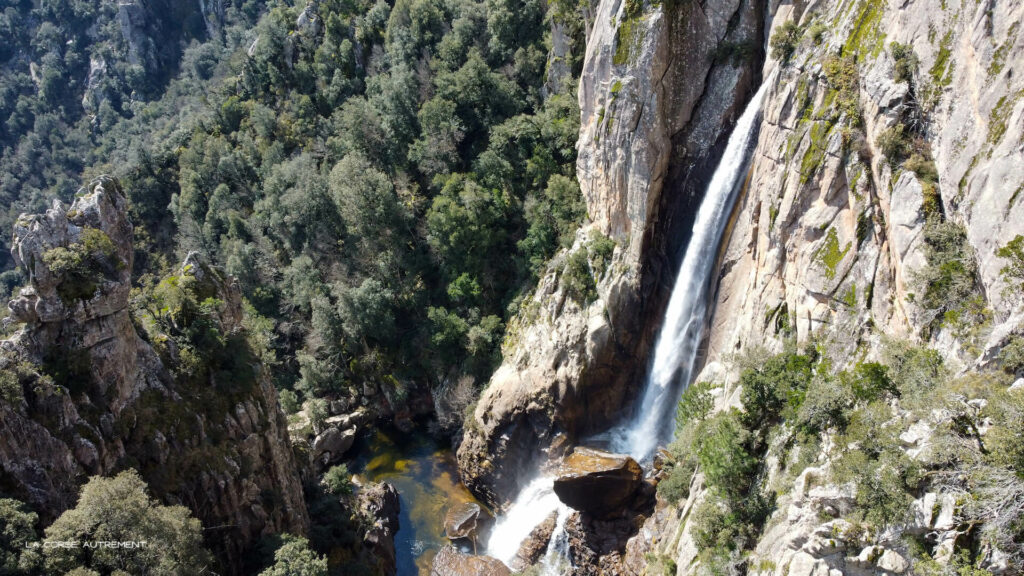 Piscia di Gallu