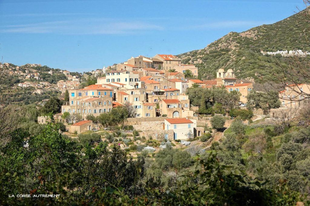 Pigna