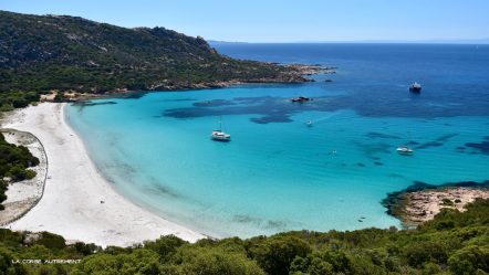 La plage de Roccapina