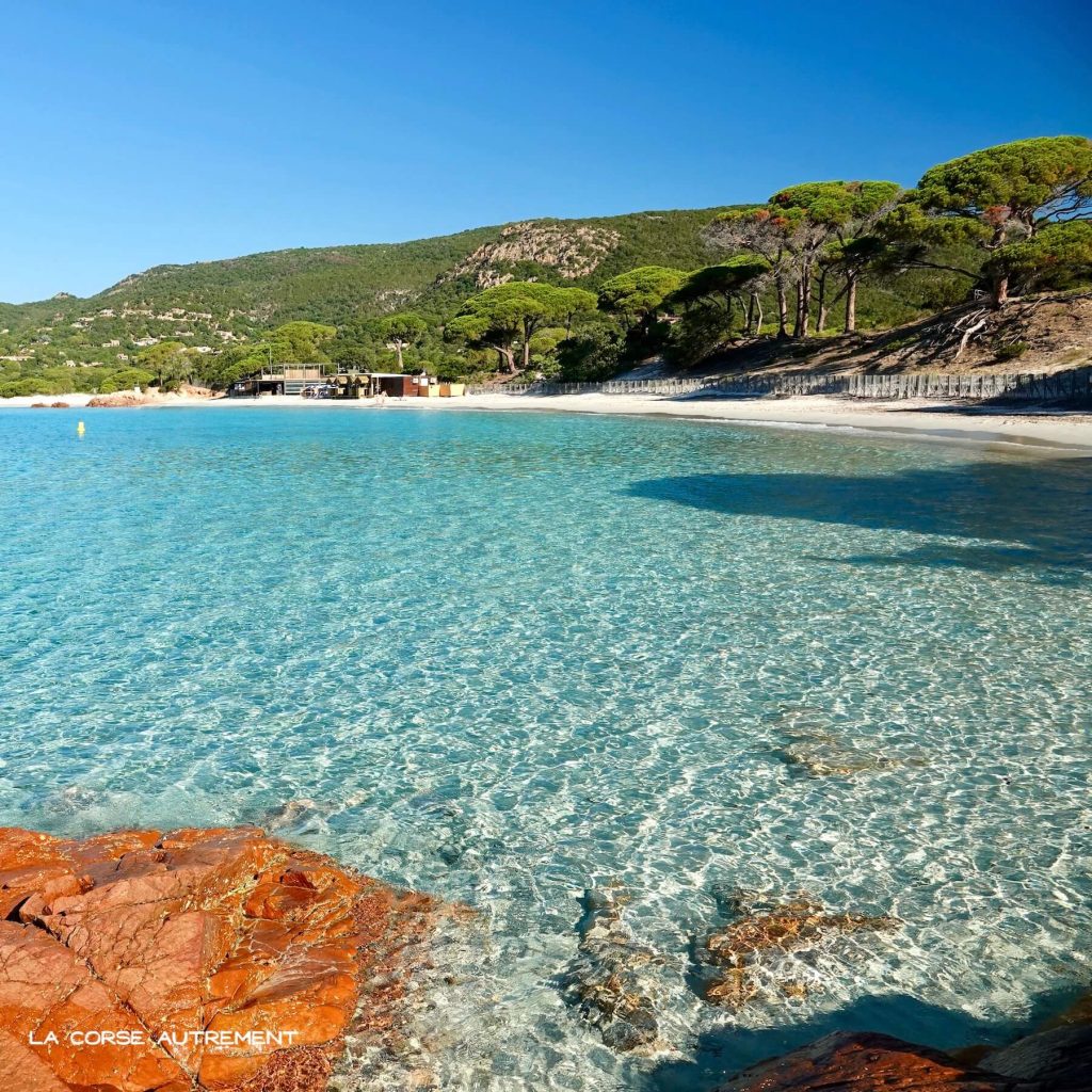 La plage paradisiaque de Palombaggia en Corse