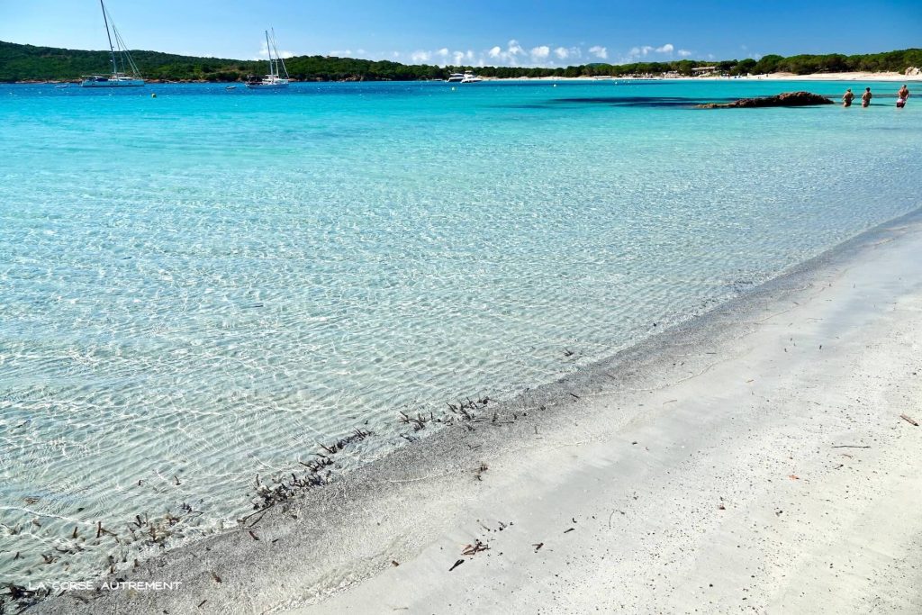 La plage de La Rondinara en Corse du Sud