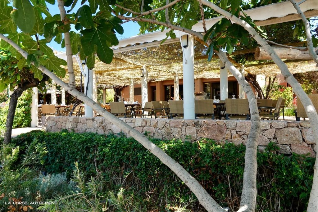 Le café de la plage à Arone, Corse