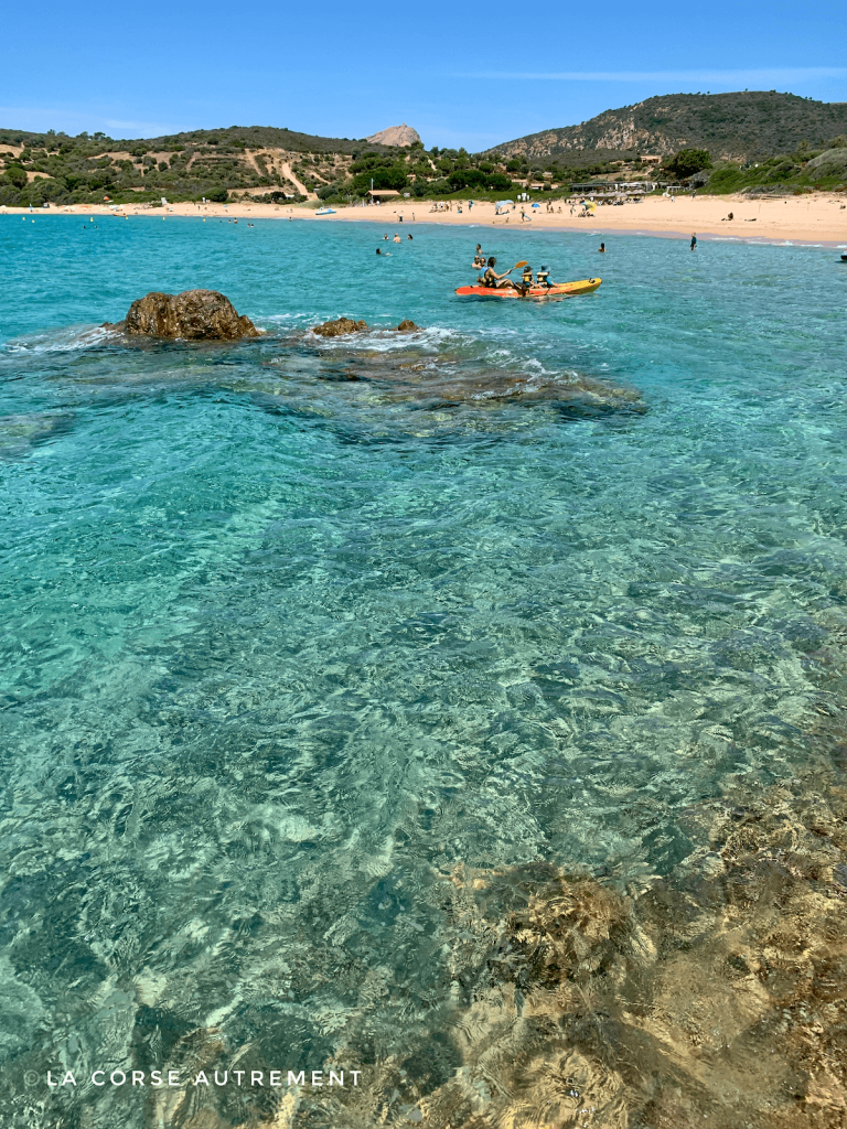 Le café de la plage à Arone, Corse