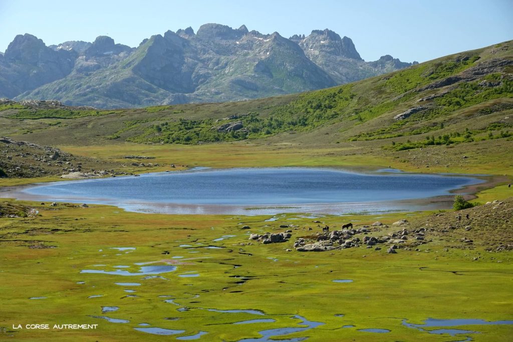 Lac de Nino, Corse