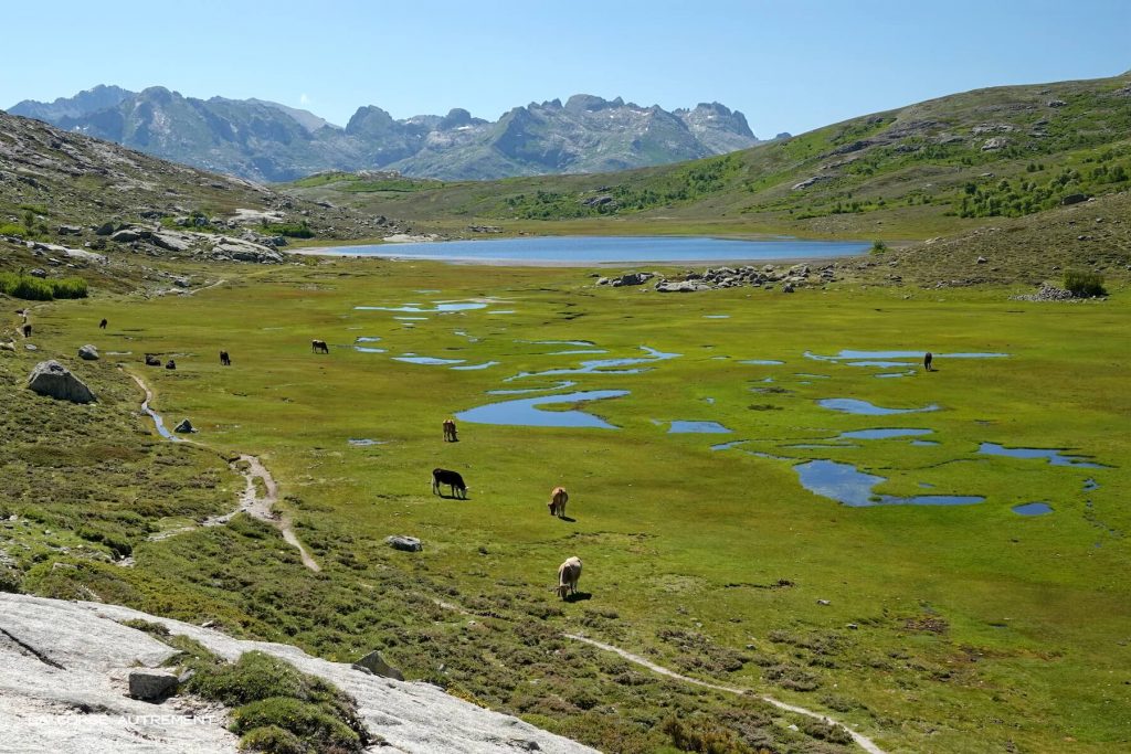 Lac de Nino, Corse