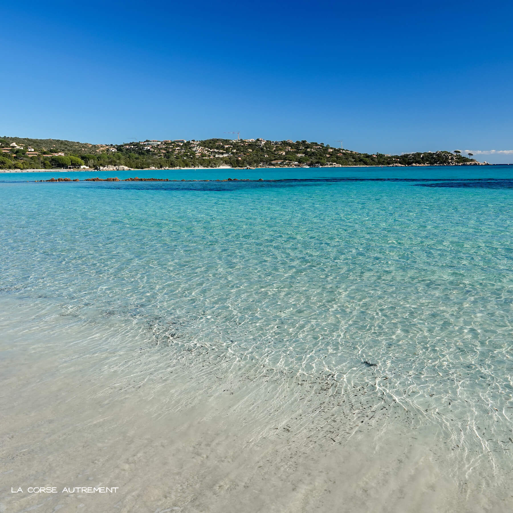 La plage de Santa Giulia en Corse du Sud La plage de Santa Giulia en Corse du Sud