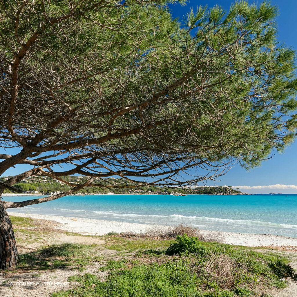 La baie de Santa Giulia en Corse