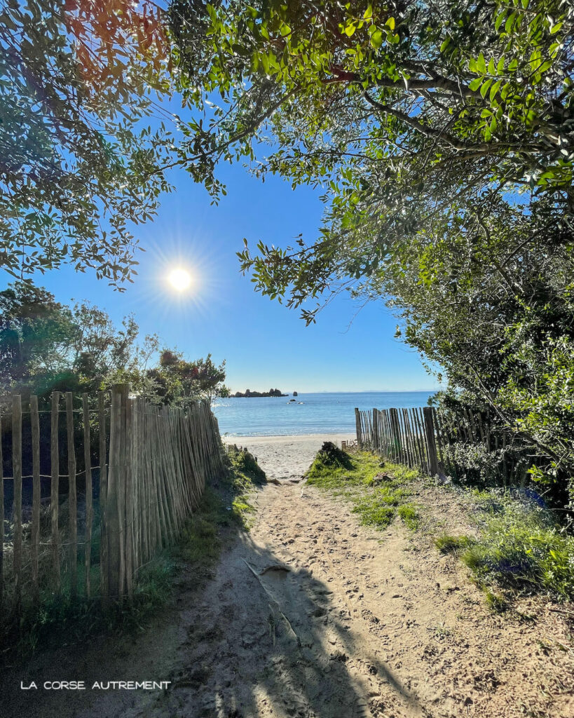 La plage de Tamaricciu en Corse