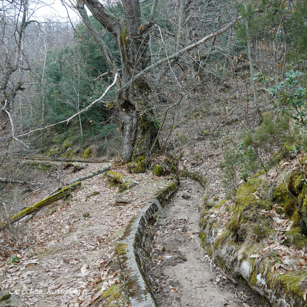 Le canal de la Volta, Bastelica