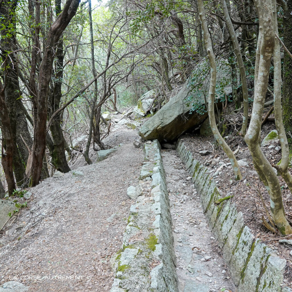 Le canal de la Volta, Bastelica