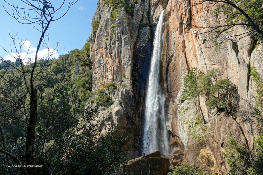 Piscia di Gallu