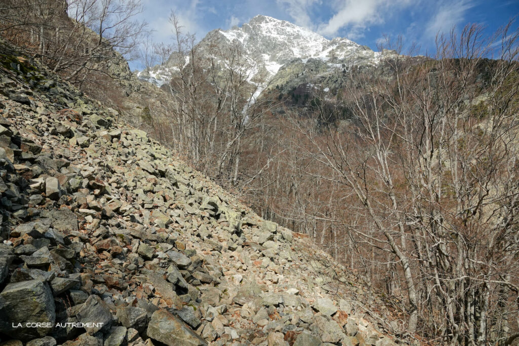 Cascades des Anglais, Vizzavona