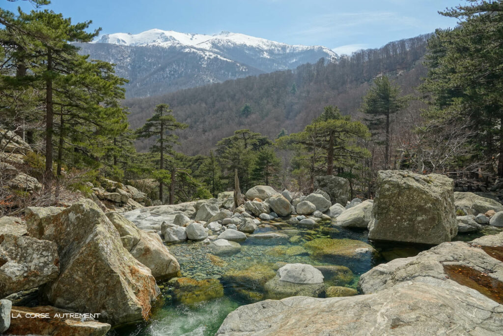 Cascades des Anglais, Vizzavona