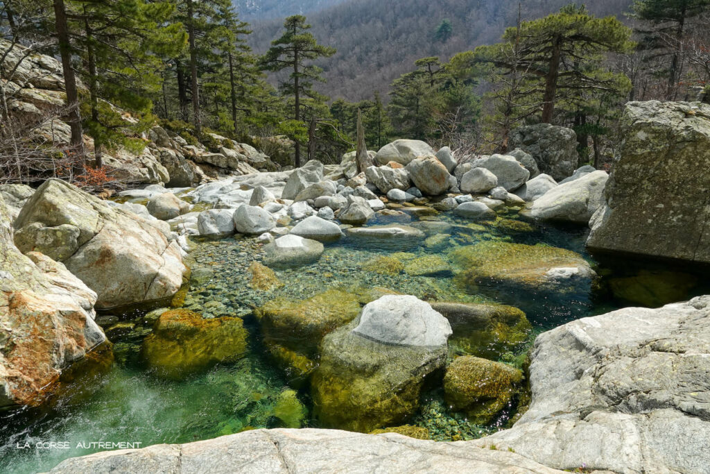 Cascades des Anglais, Vizzavona