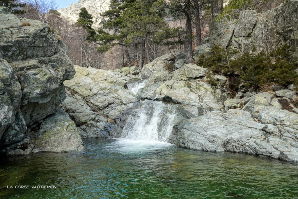 Cascades des Anglais, Vizzavona