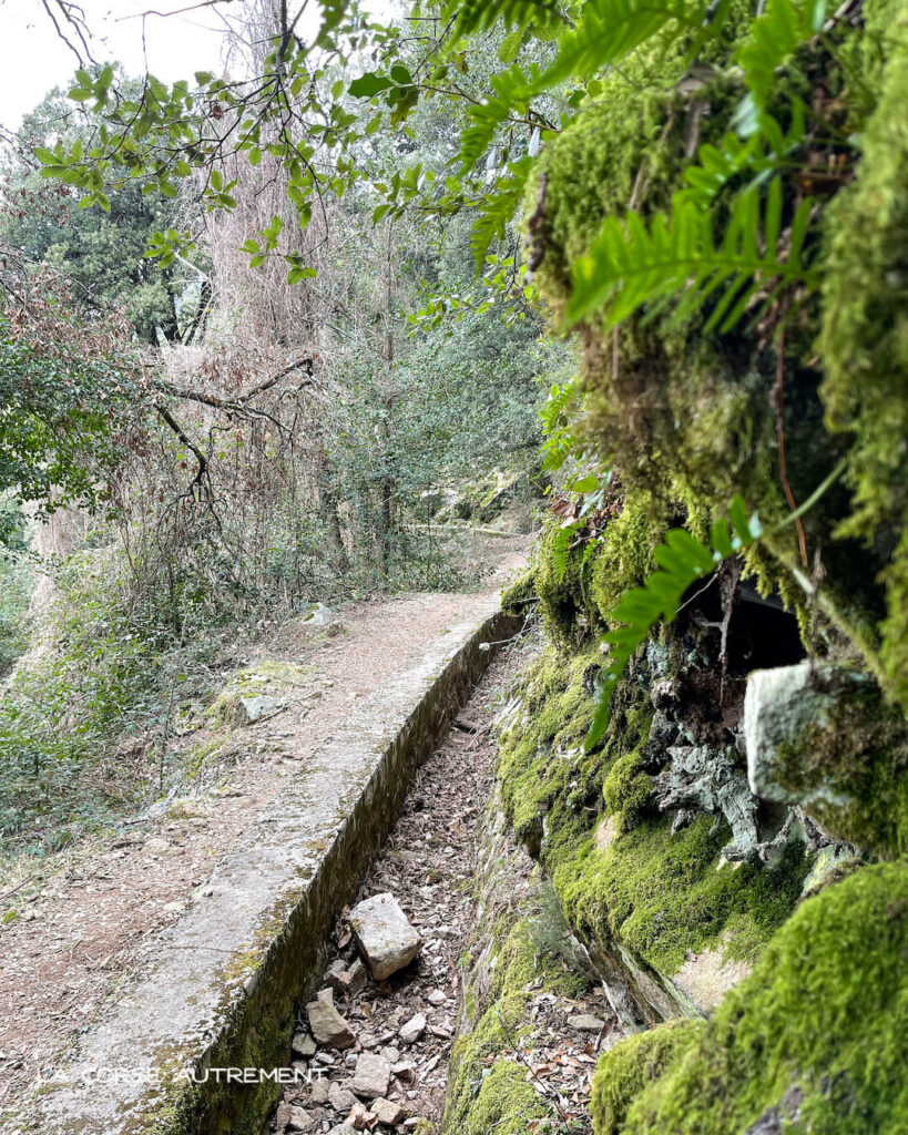 Canal de la Volta, Bastelica