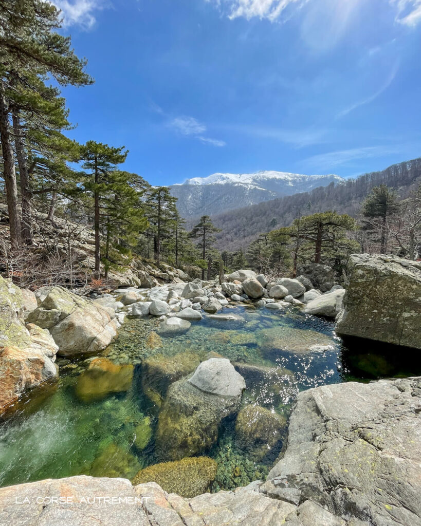 Cascades des Anglais, Vizzavona