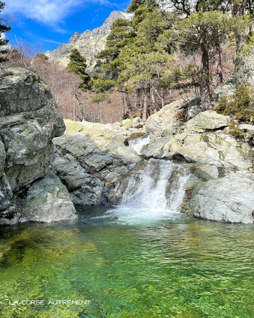 Cascades des Anglais, Vizzavona