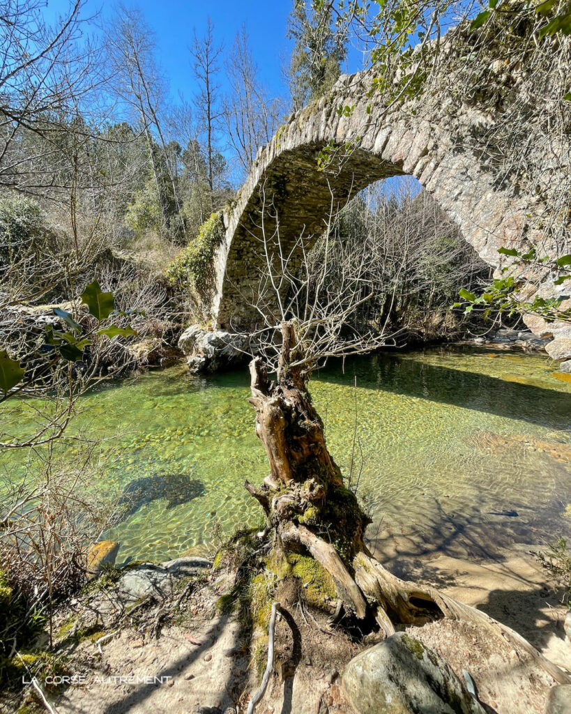 Le pont génois de Zipitoli