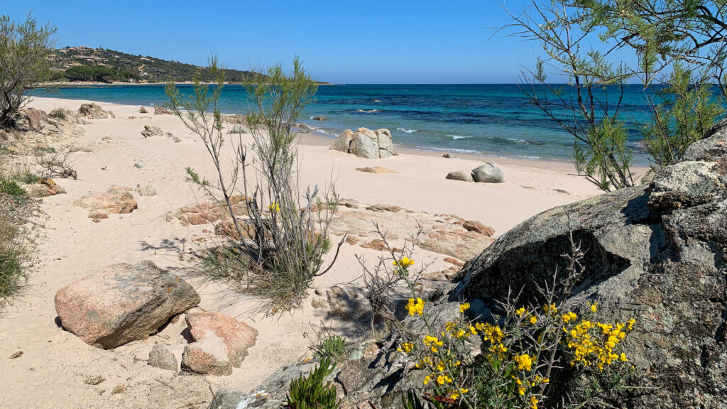 Le camping Acqua e Sole, camping 4 étoiles à Porto-Vecchio