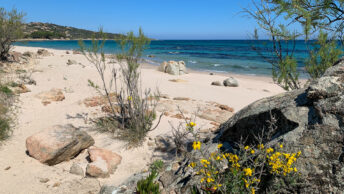 Le camping Acqua e Sole, camping 4 étoiles à Porto-Vecchio