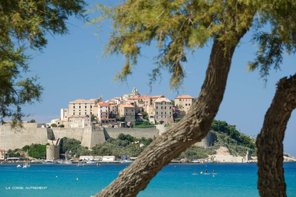 La citadelle de Calvi en Corse