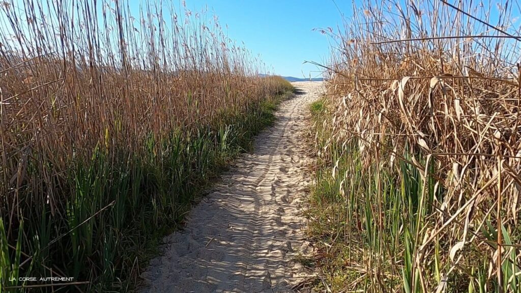 Plage de San Giuseppe, Liamone