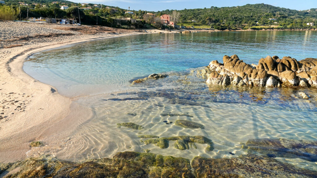 Portigliolo, Coti Chiavari