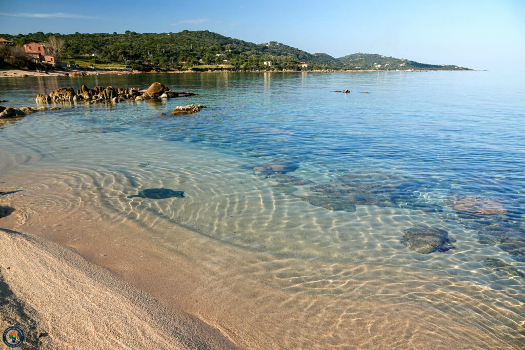 Portigliolo, Coti Chiavari