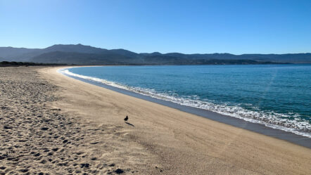 Plage du Ricanto, Ajaccio